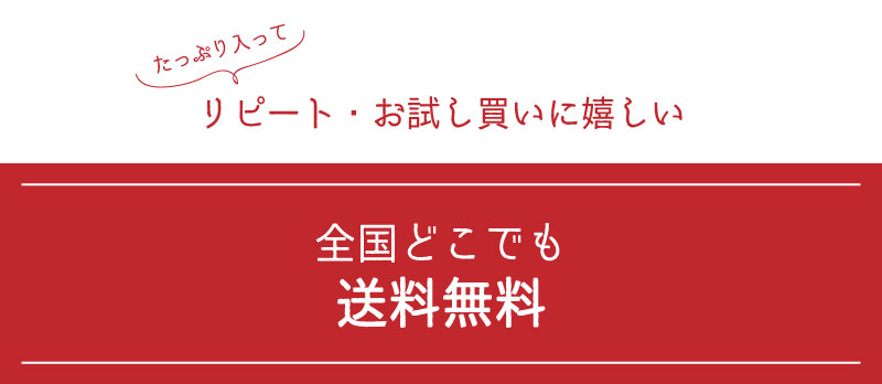 送料無料